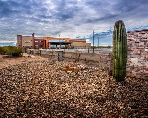 Exterior photo of TMC Rincon Health Campus in the desert. Cactus and rocks are in the foreground of the photo.